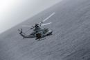 贝尔 UH-1Y&ldquo;毒液&rdquo;(450)