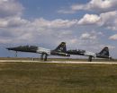 诺斯罗普 T-38C&ldquo;禽爪&rdquo;