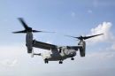 贝尔 / 波音 MV-22B&ldquo;鱼鹰&rdquo;