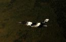 通用动力 F-16C&ldquo;战隼&rdquo;