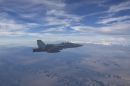 麦克唐纳-道格拉斯 F/A-18D&ldquo;大黄蜂&rdquo;
