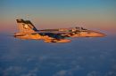 波音 F/A-18E&ldquo;超级大黄蜂&rdquo;