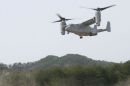 贝尔 / 波音 MV-22B&ldquo;鱼鹰&rdquo;