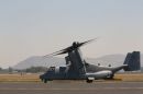 贝尔 / 波音 MV-22B&ldquo;鱼鹰&rdquo;
