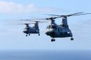 波音-伏托尔 CH-46E&ldquo;海上骑士&rdquo;