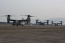 贝尔 / 波音 MV-22B&ldquo;鱼鹰&rdquo;