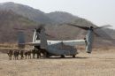 贝尔 / 波音 MV-22B&ldquo;鱼鹰&rdquo;