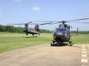 欧洲直升机 / 川崎 UH-72A&ldquo;拉科塔&rdquo;(EC-145)