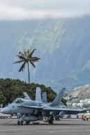 麦克唐纳-道格拉斯 F/A-18C&ldquo;大黄蜂&rdquo;