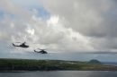 贝尔 UH-1Y&ldquo;毒液&rdquo;(450)