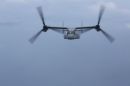 贝尔 / 波音 MV-22B&ldquo;鱼鹰&rdquo;