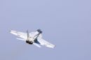 波音 F/A-18F&ldquo;超级大黄蜂&rdquo;