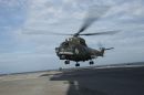 法国宇航(罗马尼西亚航空) IAR-330&ldquo;海军美洲狮&rdquo;