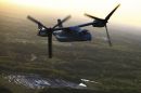 贝尔 / 波音 MV-22B&ldquo;鱼鹰&rdquo;