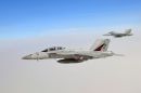 波音 F/A-18F&ldquo;超级大黄蜂&rdquo;