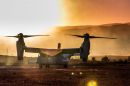 贝尔 / 波音 MV-22B&ldquo;鱼鹰&rdquo;