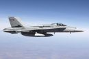 麦克唐纳-道格拉斯 F/A-18A&ldquo;大黄蜂&rdquo;