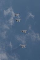 米高扬-格列维奇 MiG-29N