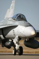 麦克唐纳-道格拉斯 F/A-18A&ldquo;大黄蜂&rdquo;