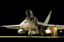 麦克唐纳-道格拉斯 F/A-18A&ldquo;大黄蜂&rdquo;