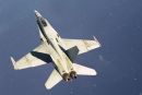 麦克唐纳-道格拉斯 F/A-18A&ldquo;大黄蜂&rdquo;