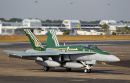 麦克唐纳-道格拉斯 F/A-18A&ldquo;大黄蜂&rdquo;