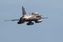 萨博 JAS-39D&ldquo;鹰狮&rdquo;