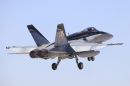 麦克唐纳-道格拉斯 F/A-18A&ldquo;大黄蜂&rdquo;
