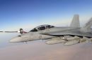 波音 F/A-18F&ldquo;超级大黄蜂&rdquo;