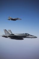 麦克唐纳-道格拉斯 CF-188A&ldquo;大黄蜂&rdquo;(CF-18A)