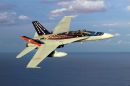 麦克唐纳-道格拉斯 F/A-18A&ldquo;大黄蜂&rdquo;