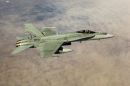 麦克唐纳-道格拉斯 F/A-18A&ldquo;大黄蜂&rdquo;