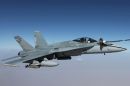 麦克唐纳-道格拉斯 F/A-18A&ldquo;大黄蜂&rdquo;