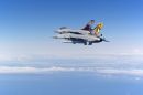 通用动力(福克) F-16AM&ldquo;战隼&rdquo;