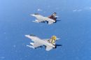 通用动力(福克) F-16AM&ldquo;战隼&rdquo;