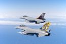 通用动力(福克) F-16AM&ldquo;战隼&rdquo;