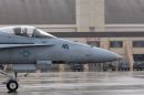 麦克唐纳-道格拉斯 F/A-18C&ldquo;大黄蜂&rdquo;