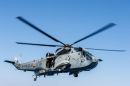 西科斯基(加拿大联合飞机) CH-124A&ldquo;海王&rdquo;(S-61B)