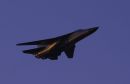 通用动力 F-111C&ldquo;土豚&rdquo;