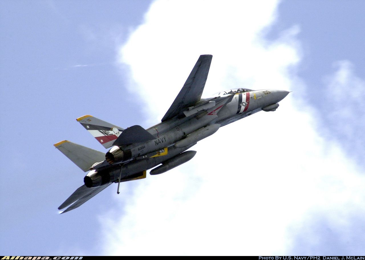 格鲁曼 F-14D&ldquo;雄猫&rdquo; \vert{} ID:29041