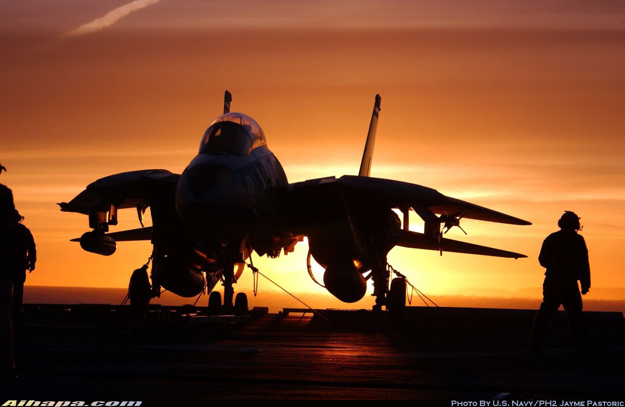 格鲁曼 F-14D&ldquo;雄猫&rdquo; \vert{} ID:27056
