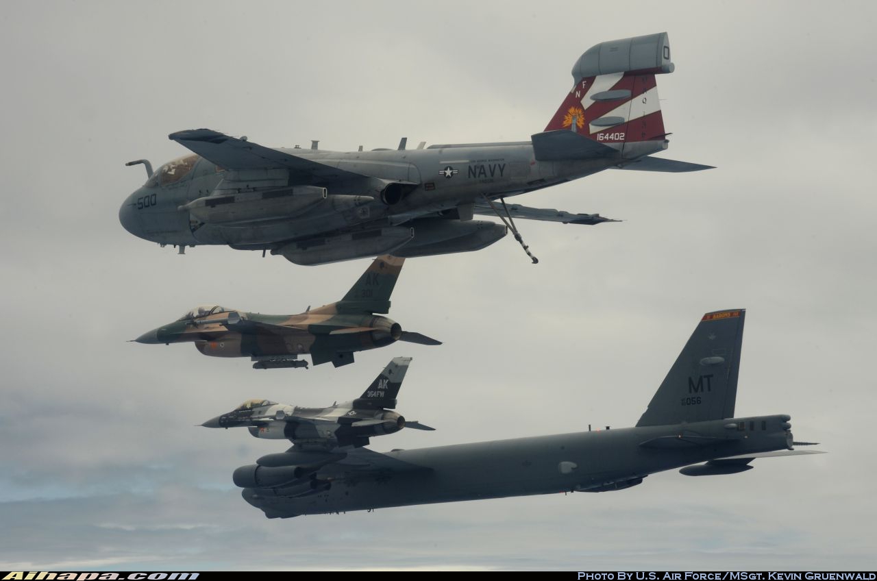 格鲁曼 EA-6B&ldquo;徘徊者&rdquo; \vert{} ID:20299