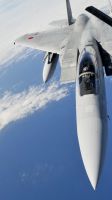 麦克唐纳-道格拉斯(三菱) F-15J&ldquo;鹰&rdquo;