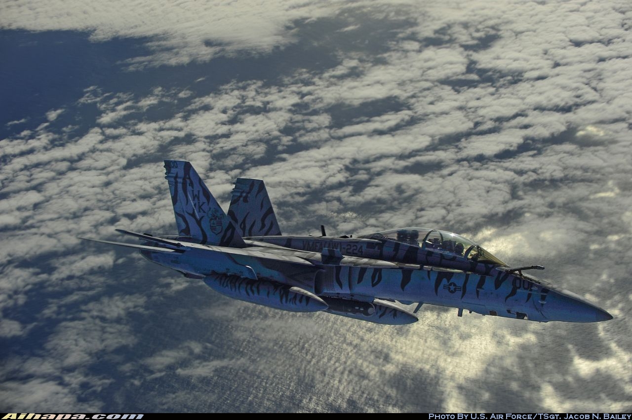 麦克唐纳-道格拉斯 F/A-18D&ldquo;大黄蜂&rdquo; \vert{} ID:35359