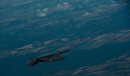 波音 B-52H&ldquo;同温层堡垒&rdquo;