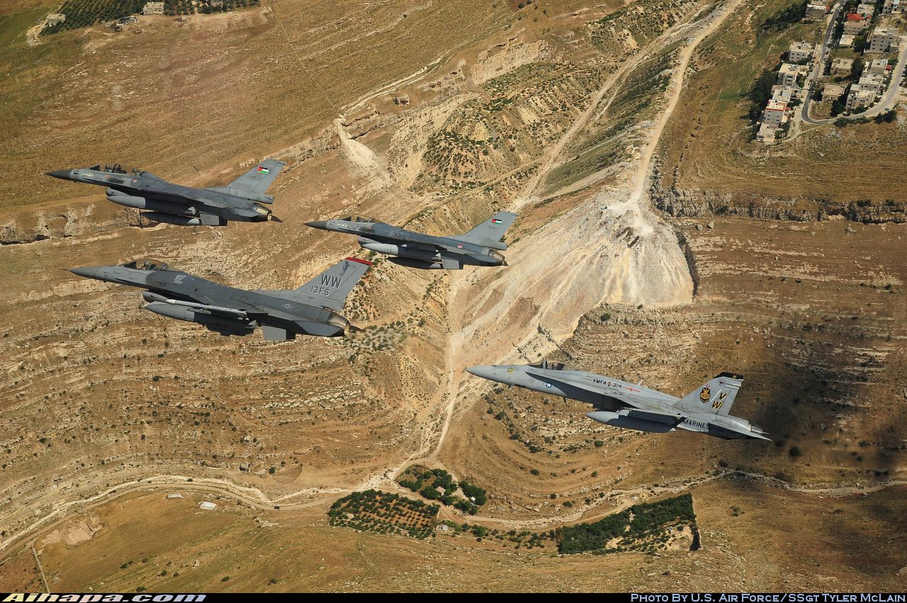 洛克希德 F-16CJ&ldquo;战隼&rdquo; \vert{} ID:8244