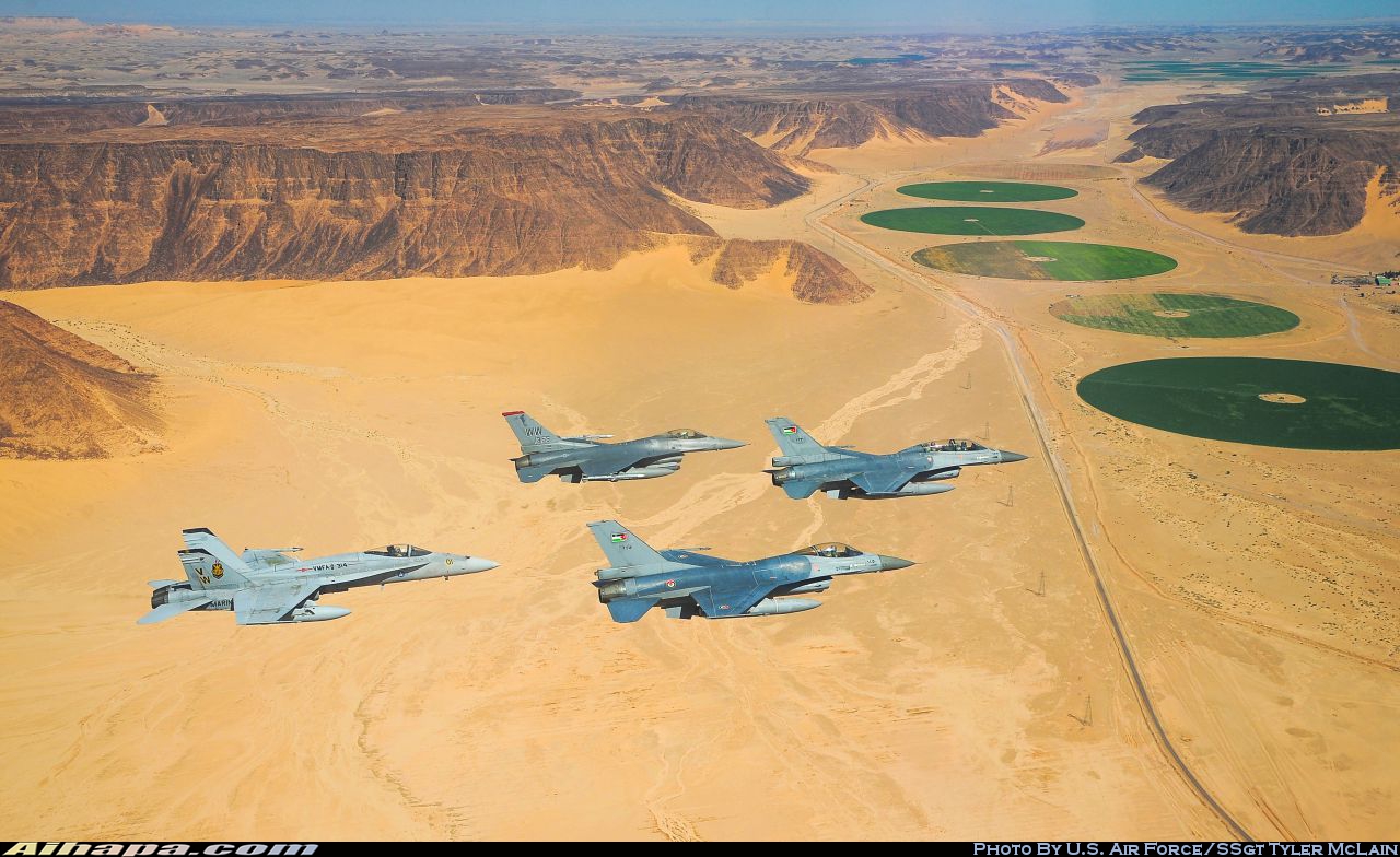 通用动力(SABCA) F-16AM&ldquo;战隼&rdquo; \vert{} ID:8228