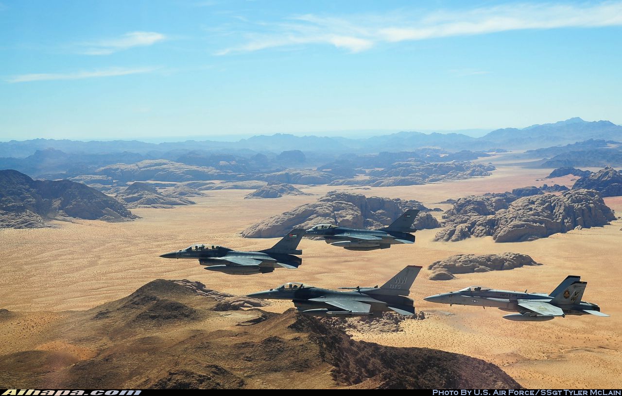 洛克希德 F-16CJ&ldquo;战隼&rdquo; \vert{} ID:8224