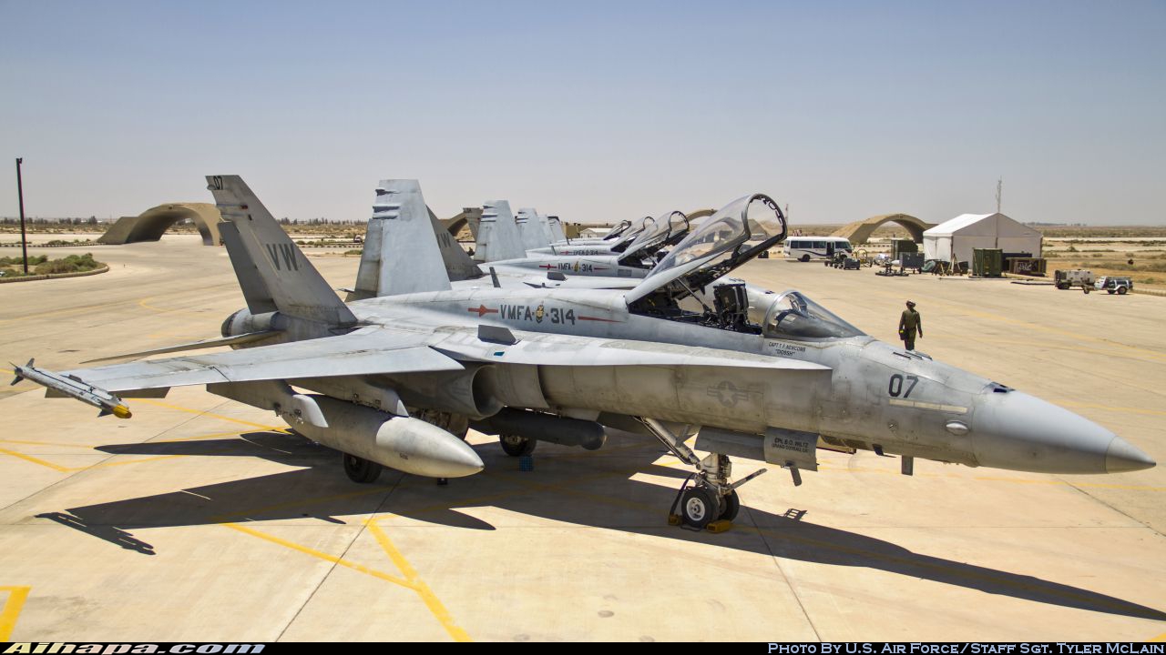 麦克唐纳-道格拉斯 F/A-18A&ldquo;大黄蜂&rdquo; \vert{} ID:8311