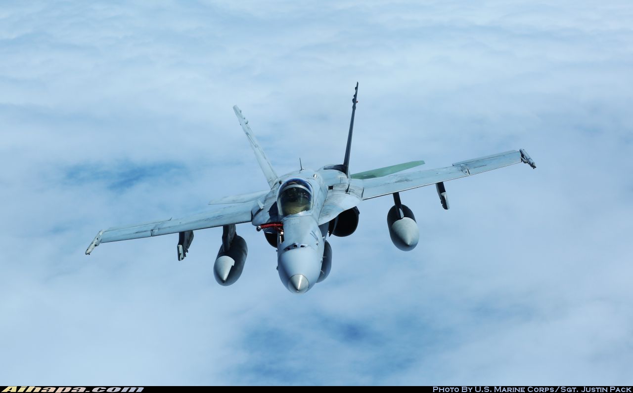 麦克唐纳-道格拉斯 F/A-18C&ldquo;大黄蜂&rdquo; \vert{} ID:11565